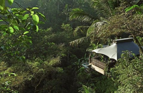 Capella Ubud